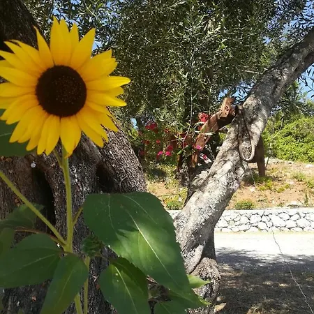 Apartment Blue & , - Corfu 1&2-3&4 *